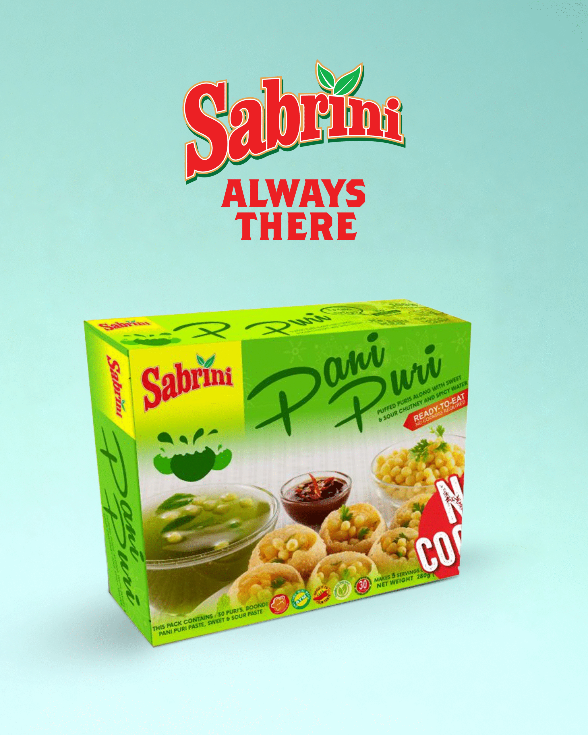 sabrini nov posts_3b copy 3
